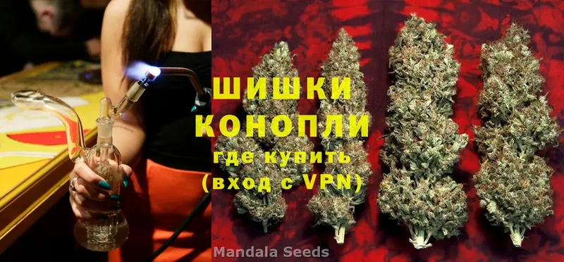 даркнет сайт  Болотное  Каннабис OG Kush 